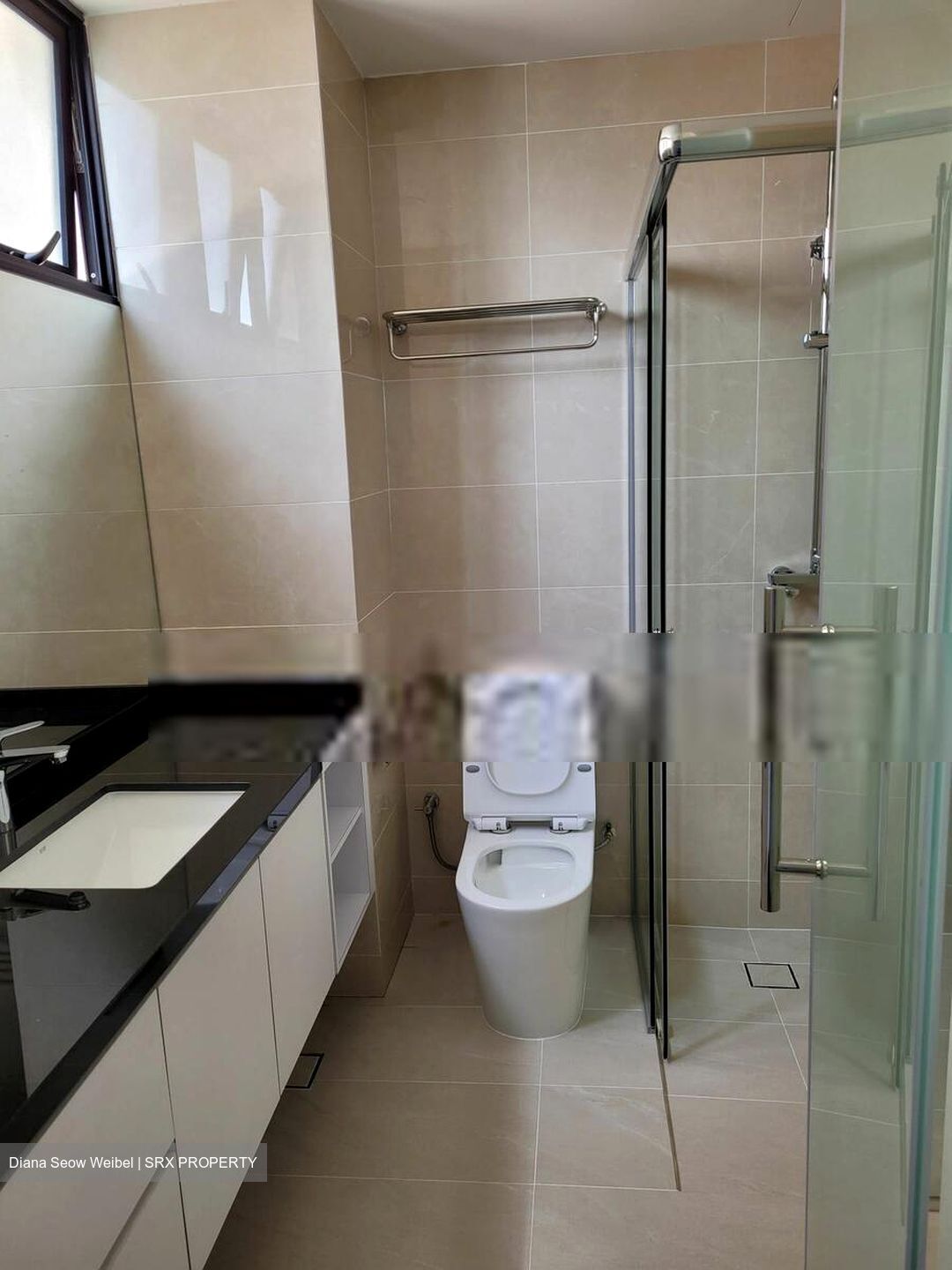 Sommerville Park (D10), Condominium #565620851